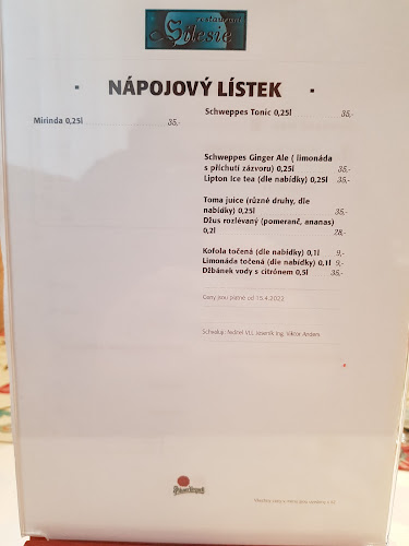 Opinii despre Restaurace Silesie în Jeseník - Gastronomie a pohostinství