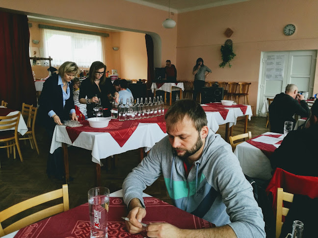 Comentarii opinii despre Restaurace U Klesků