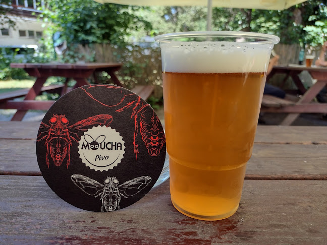 Občerstvení u Sparty - Gastronomie a pohostinství