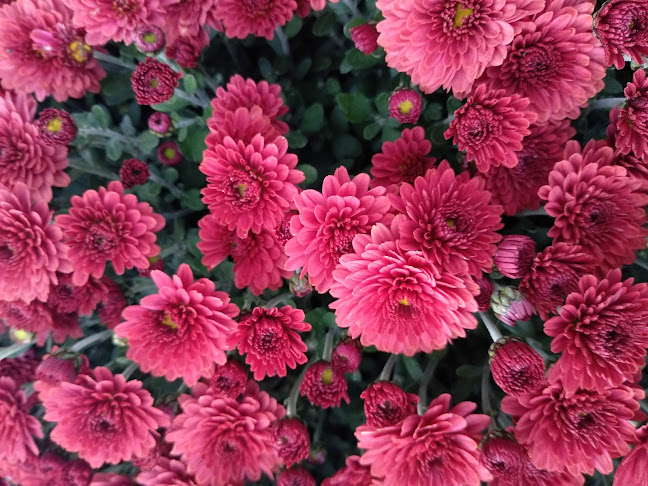 Bergerovo nám. 174, 463 03 Stráž nad Nisou