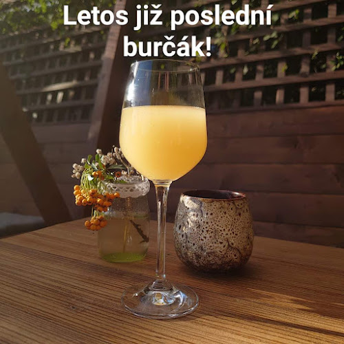 Neřežínka - Gastronomie a pohostinství