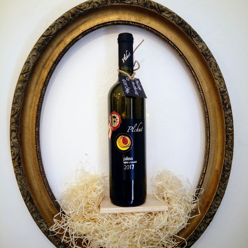 Comentarii opinii despre Vinotéka Eva