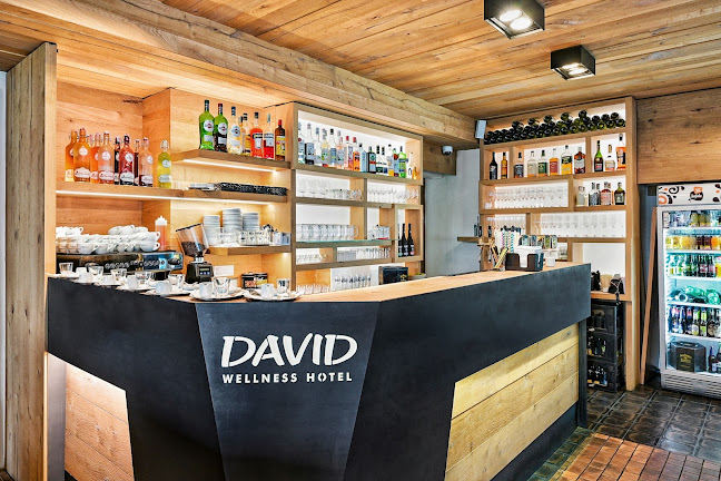 Restaurace David