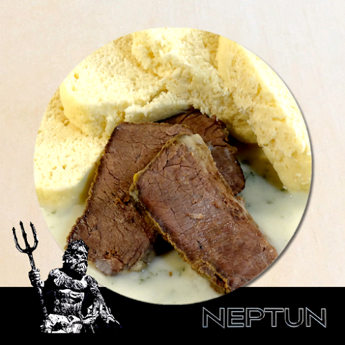 Opinii despre Restaurace Neptun în Liberec - Gastronomie a pohostinství