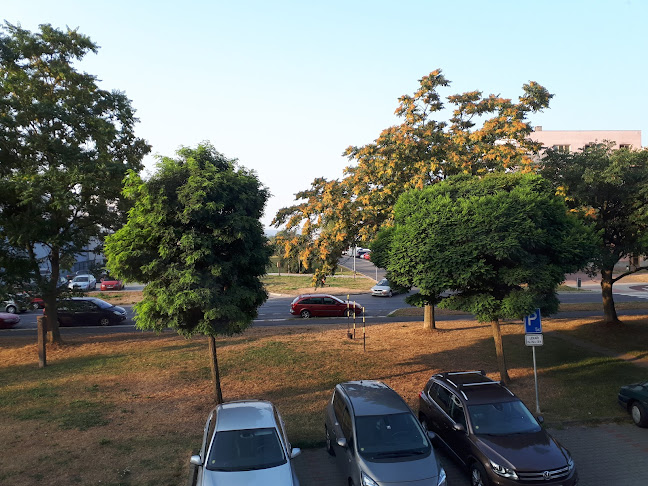 Na špici - Gastronomie a pohostinství