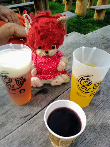 Comentarii opinii despre Samovýčep pro dobré lidi