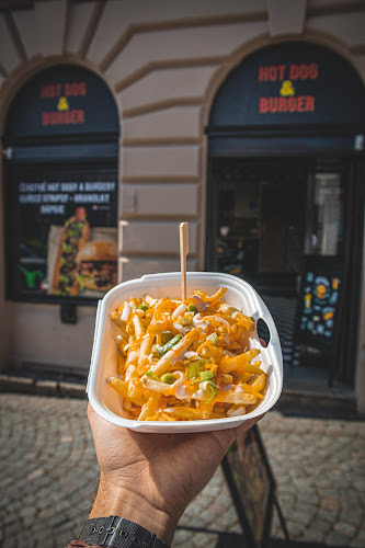 Mýtská 271/4, 500 03 Hradec Králové 3