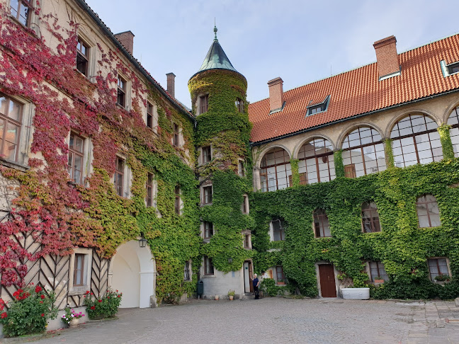 Opinii despre Zámecká restaurace Hrubá Skála în Hrubá Skála - Gastronomie a pohostinství