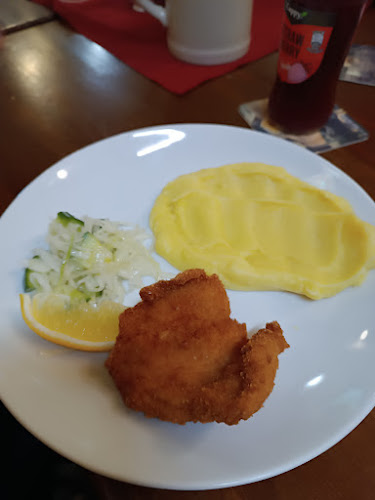 Opinii despre Hotel restaurant Švejk în Bublava - Gastronomie a pohostinství