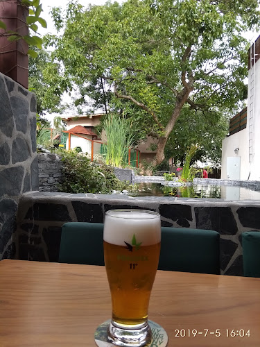 JINE KAFE - Cannabís Social Club