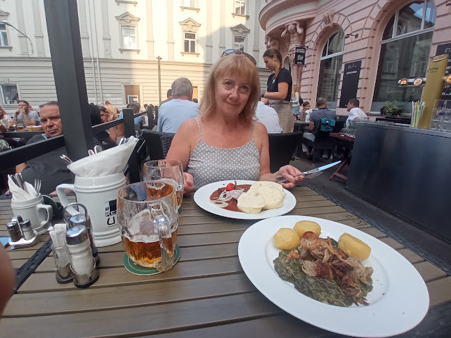 Comentarii opinii despre Restaurant U Mořice