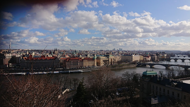 Letenské sady 173, 170 00 Praha 7-Letná