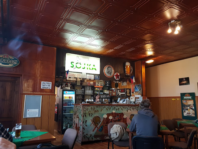 Opinii despre Restaurace Sojka în Třinec - Gastronomie a pohostinství