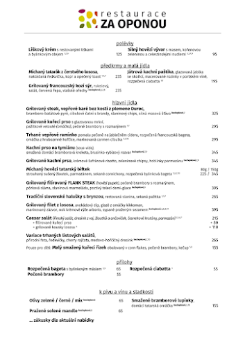 Opinii despre Restaurace ZA OPONOU în Plzeň 3 - Gastronomie a pohostinství