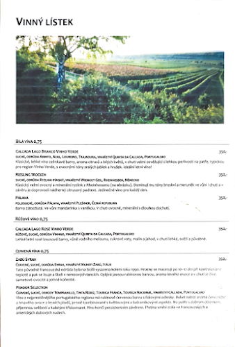 Svatovítská 6, 160 00 Praha 6