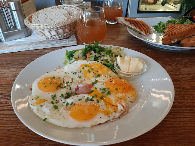 Opinii despre Bílá Vrána în Brno - Gastronomie a pohostinství