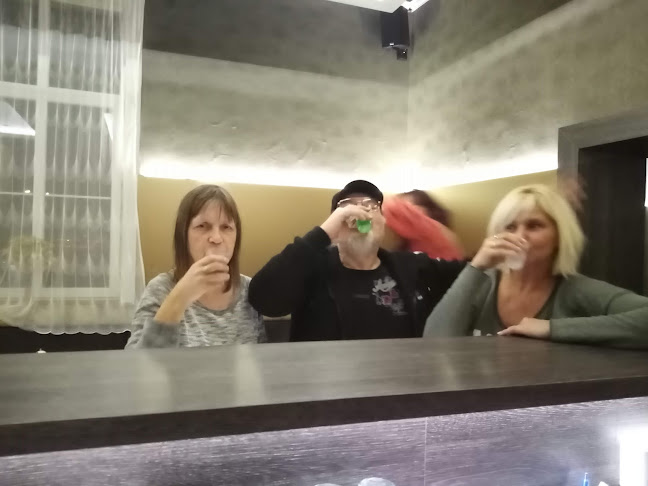 Comentarii opinii despre Restaurace U Pramene