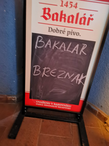 Opinii despre Frito în Teplice - Gastronomie a pohostinství