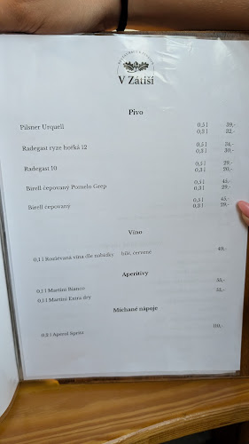 Opinii despre Restaurace a Penzion V Zátiší în Horní Lhota - Gastronomie a pohostinství