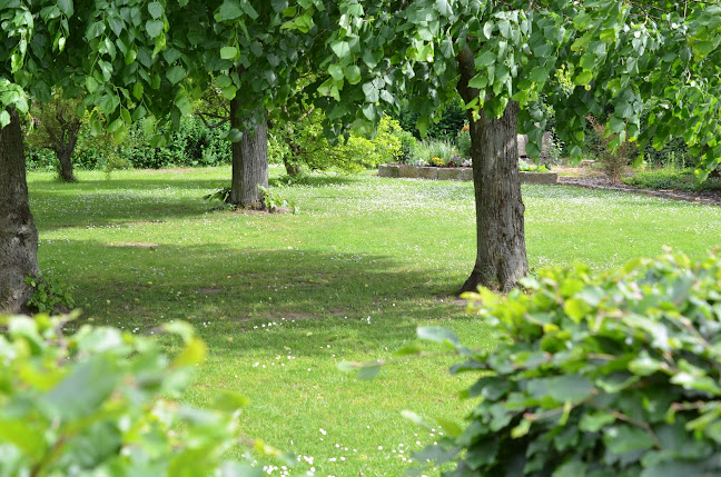 Bílá Třemešná 196, 544 72 Bílá Třemešná
