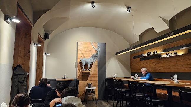 Comentarii opinii despre Kozlovna U Paukerta