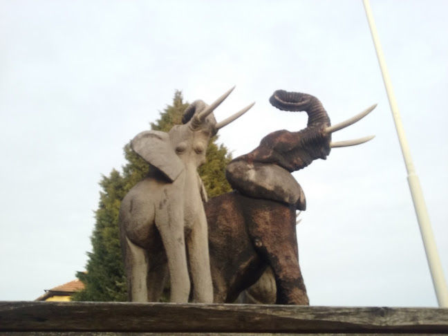 SAWE - South African Wine Emporium s.r.o.