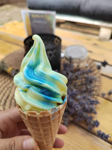 Sluníčko POINT - Gastronomie a pohostinství