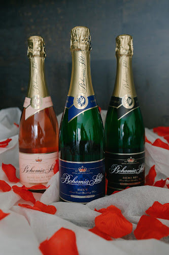 Comentarii opinii despre ALKO DOMŮ - ROZVOZ ALKOHOLU PRAHA