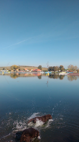 Comentarii opinii despre U mušketýra