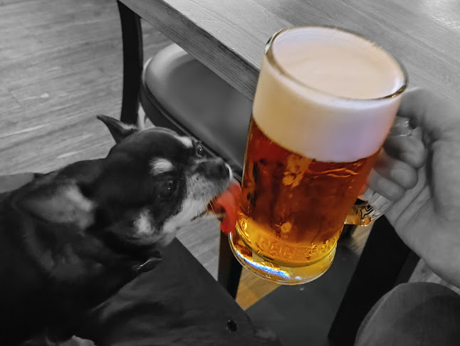 Opinii despre Restaurace Spirit Bar în Praha - Gastronomie a pohostinství