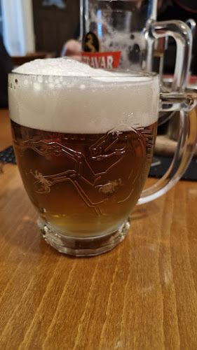 RESTAURACE U ZLATÉHO LVA - Ostrava