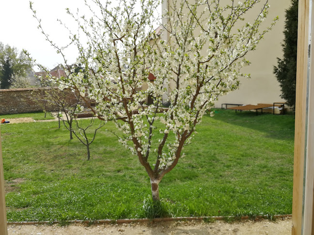 Comentarii opinii despre Zahrada café Valtice