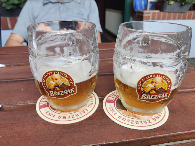 Comentarii opinii despre Restaurace Nautilus