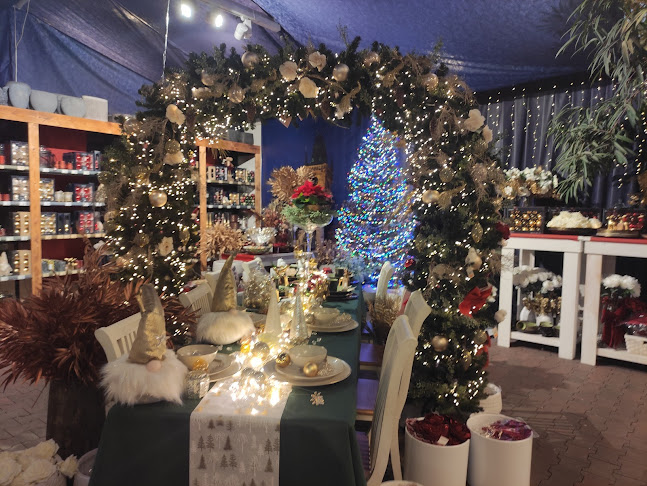 Stanová 1998, 415 01 Teplice 1-Trnovany