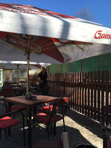 Comentarii opinii despre Restaurace U ŽÁBY