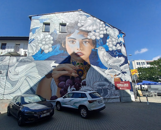 Opinii despre Corso în Hodonín - Gastronomie a pohostinství