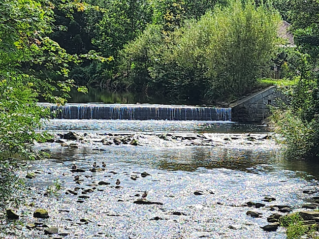 Opinii despre Restaurace Raškovjan + Pálenice Raškovice în Raškovice - Gastronomie a pohostinství