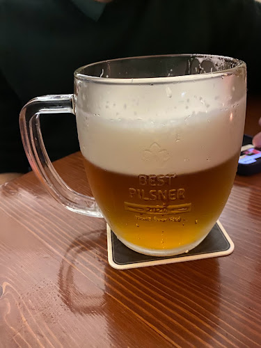 Sádrový ježek - Ostrava