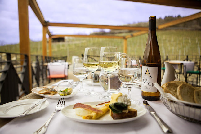 Restaurant a vinařství Salabka - Gastronomie a pohostinství