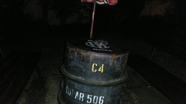 Comentarii opinii despre Jeep Bar