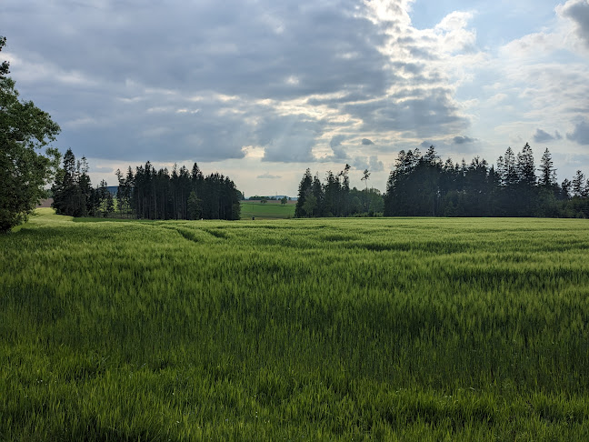 Občerstvení u koupaliště Sázava
