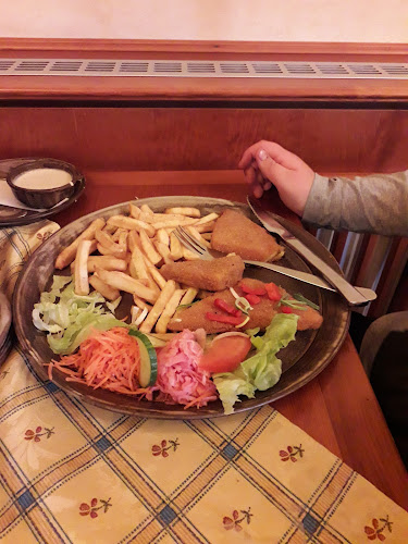 Purkyňova 3007, 544 01 Dvůr Králové nad Labem 1