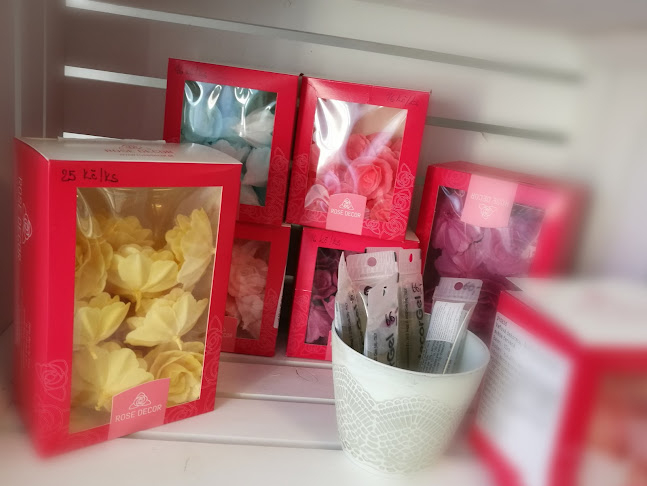 Cukrárna Vanilka Brumov-Bylnice