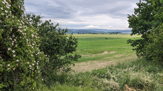 Opinii despre Pizzahaus 93 – Pizzerie v Nezbavěticích în Nezbavětice - Gastronomie a pohostinství