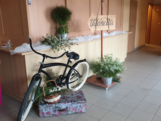 Tisová 65, 566 01 Tisová