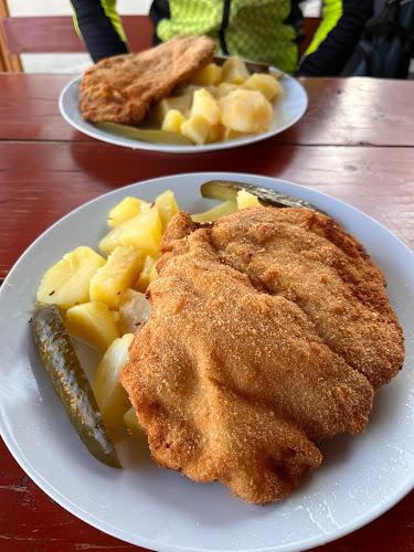 Opinii despre Penzion MLÝN în Brno - Gastronomie a pohostinství