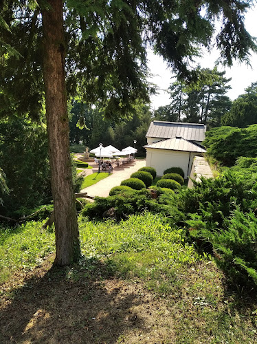 Comentarii opinii despre Café Orangerie