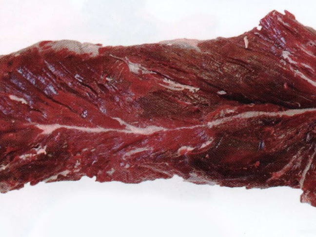 Gurmánský servis s.r.o. - Gastronomie a pohostinství