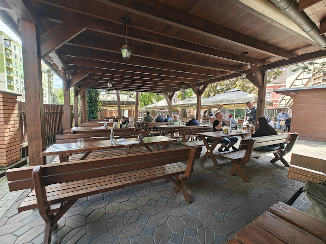 Emilie Dvořákové 281, 415 01 Teplice 1