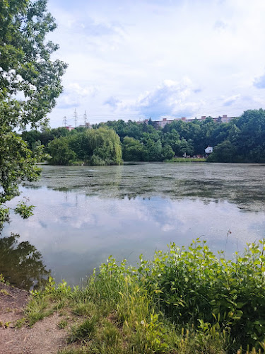 Opinii despre Restaurace Hamr în Praha - Gastronomie a pohostinství